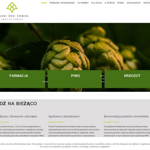 Chmiel do piwa domowego