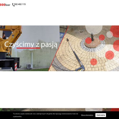 Mycie ogrodzeń w Poznaniu