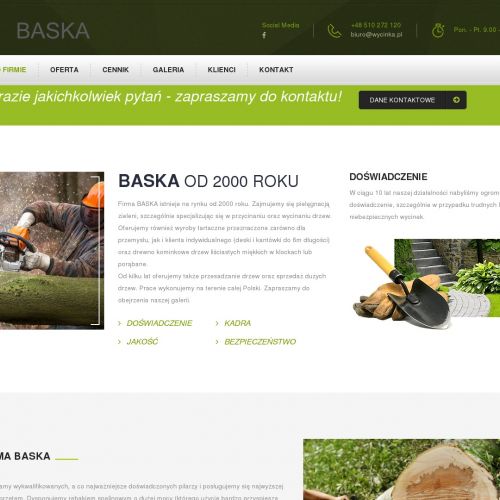 Przycinanie drzew śląskie - Chorzów