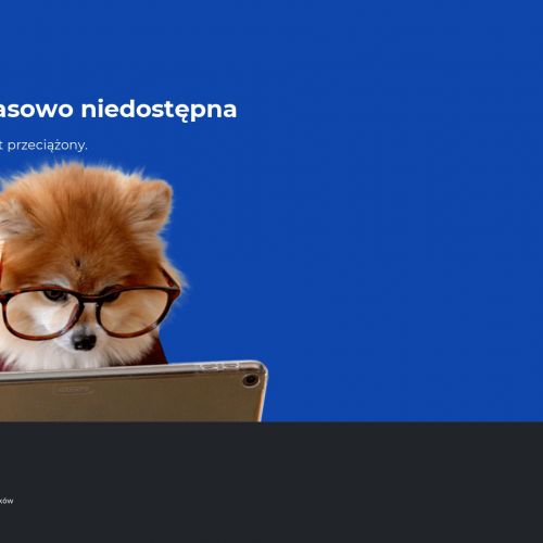 Usuwanie szerszeni - Warszawa