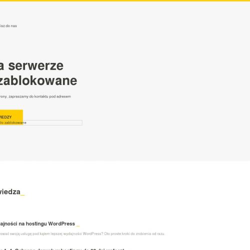 Żelazko w sprayu lenor