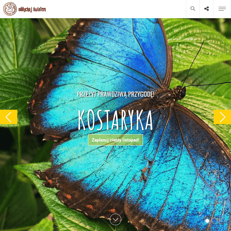 Egzotyczna podróż poślubna w Poznaniu