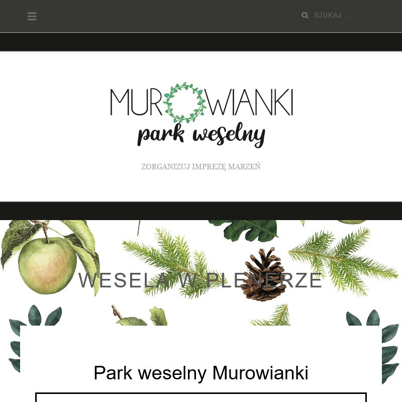 Sale na wesele wielkopolska - Turek