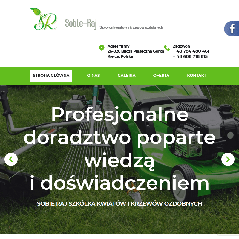 Tuja szmaragd - Kielce